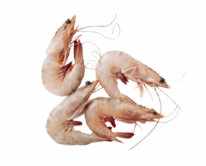 القبقب (حيلاني) (copy)