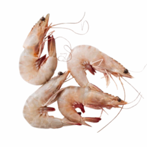 القبقب (حيلاني) (copy)