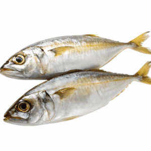 سمك الكنعد (copy)