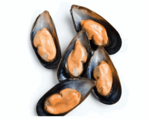 سمك الكنعد (copy)